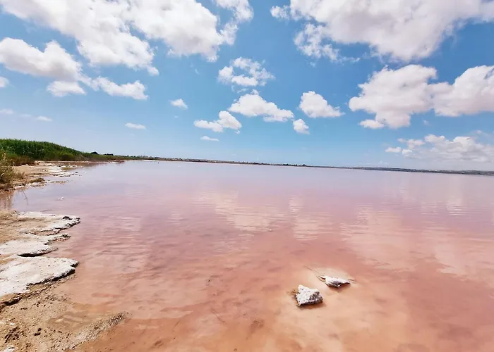 Chalet House With Private Pool *