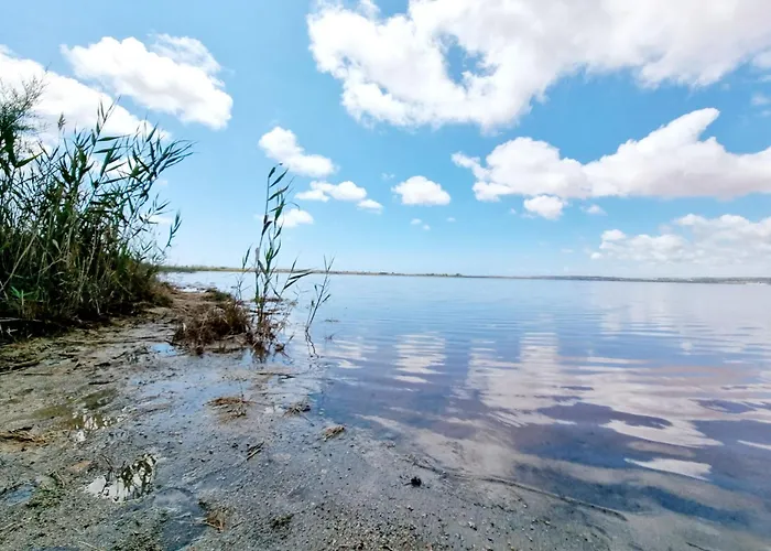 House With Private Pool Chalet Torrevieja